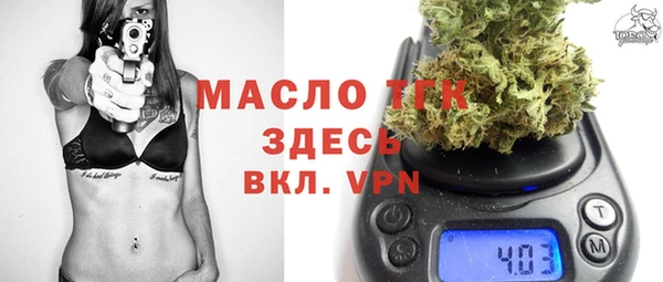 шишки Арсеньев
