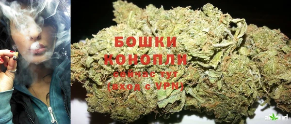 шишки Арсеньев
