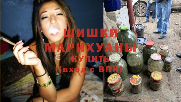 шишки Арсеньев