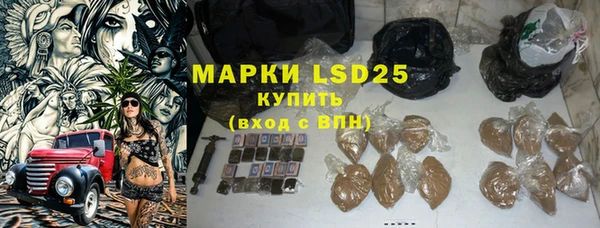 шишки Арсеньев