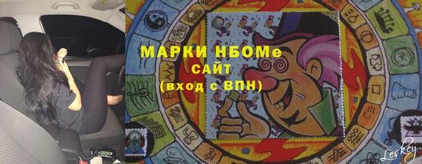 шишки Арсеньев