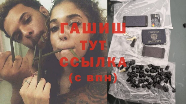 шишки Арсеньев