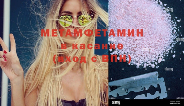 шишки Арсеньев