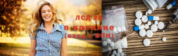 шишки Арсеньев