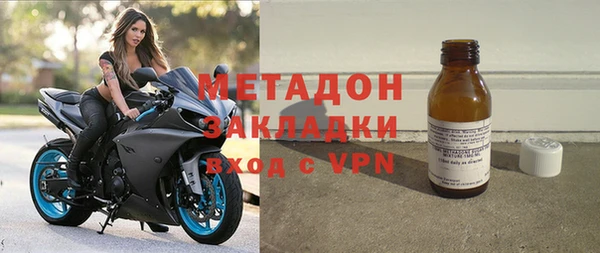 шишки Арсеньев
